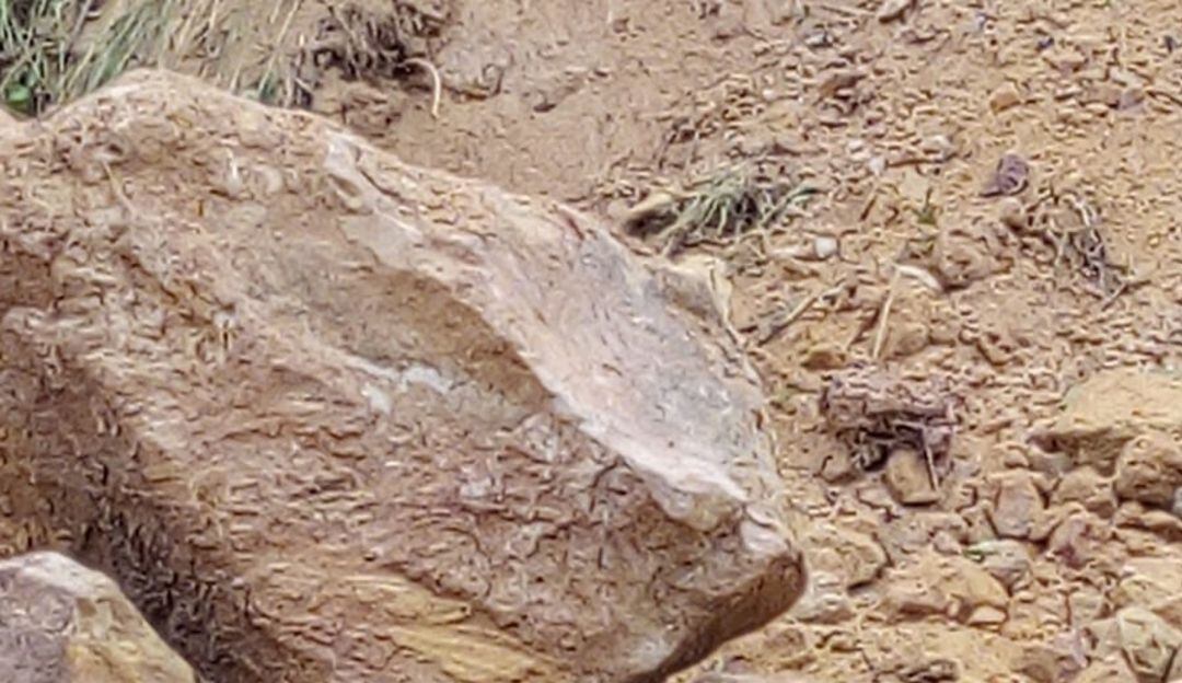 23 municipios del Tolima en calamidad pública por la ola invernal