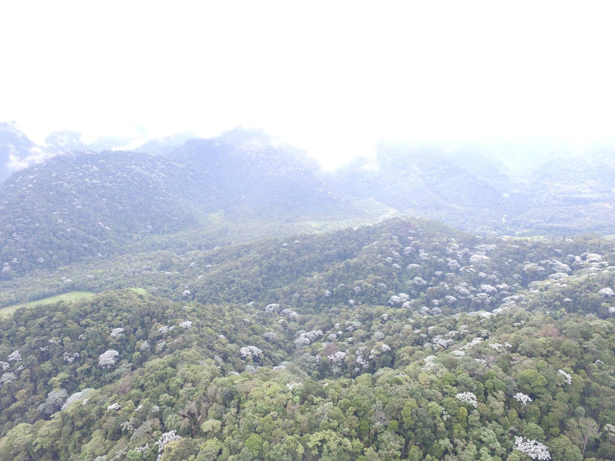 Imagen de archivo - Parque Lineal Río Otún - Tomada de FB.