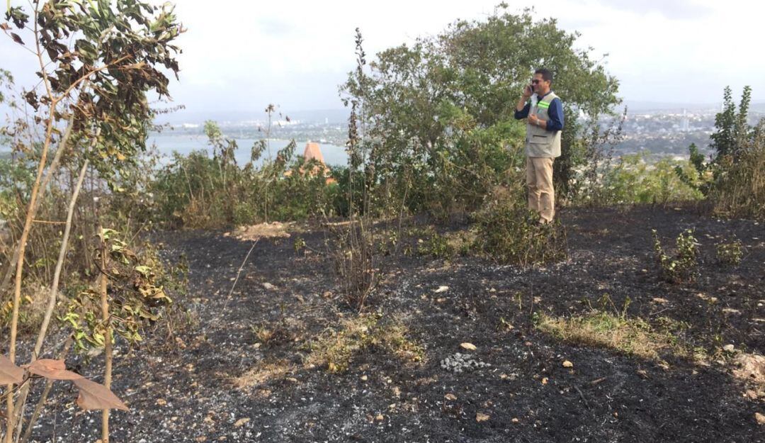 Quema de árboles en el Cerro de La Popa