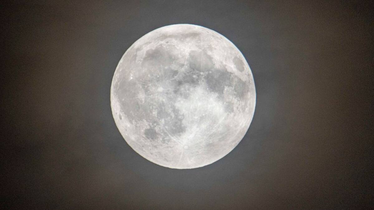 Prepárese para la Luna de Castor 2023: 5 rituales sencillos para manifestar