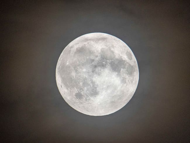 Luna del castor / Getty Images
Economou/NurPhoto via Getty Images)
