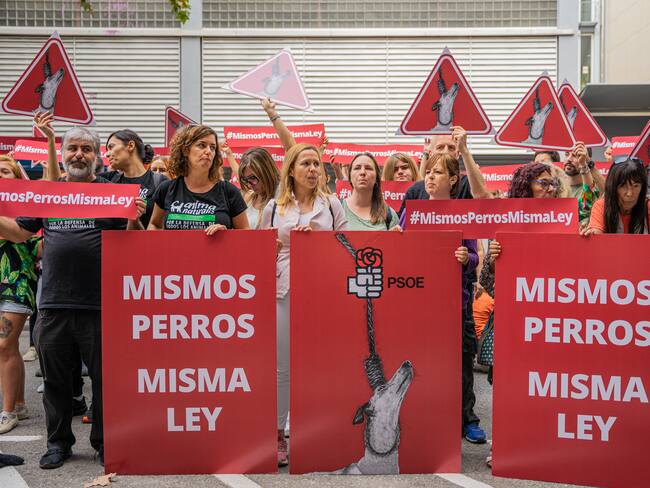 Foto por Marc Asensio/NurPhoto - Getty Images
