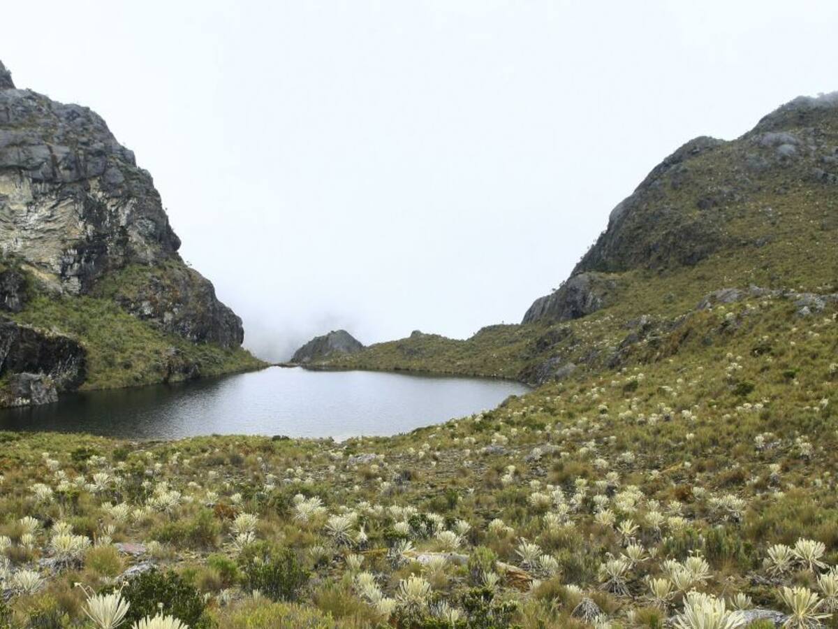 Santander pide que se niegue la licencia de explotación de Santurbán