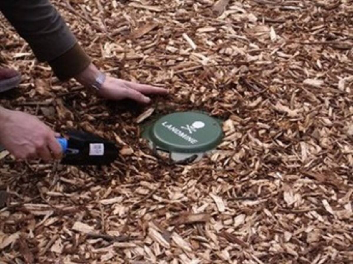 Colombia es el país más afectado por minas antipersona en el mundo