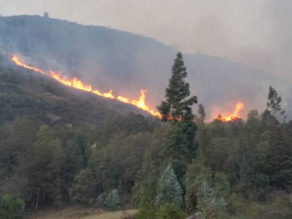 Incendio forestal afecta a 200 hectáreas de vegetación en Nobsa y Santa Rosa de Viterbo, Boyacá