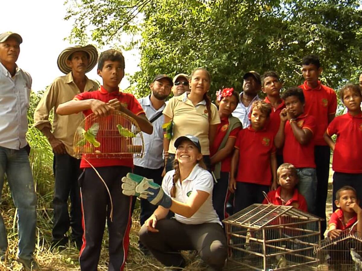 Corpamag fortalece los centros de atención de fauna en Santa Marta
