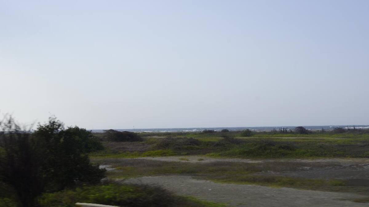 Título de la imagen