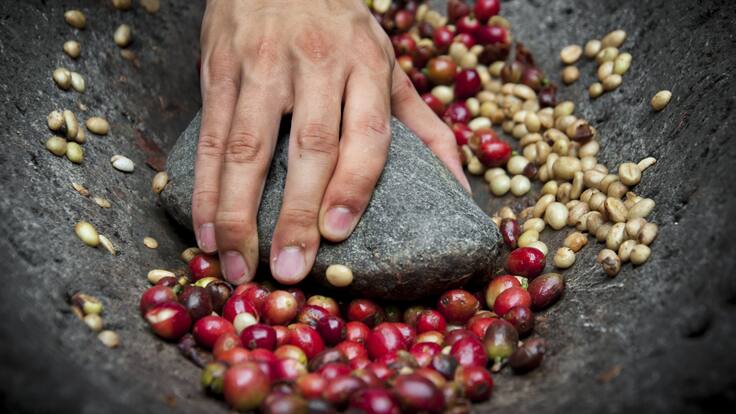 Suelas hechas con mucílago de café