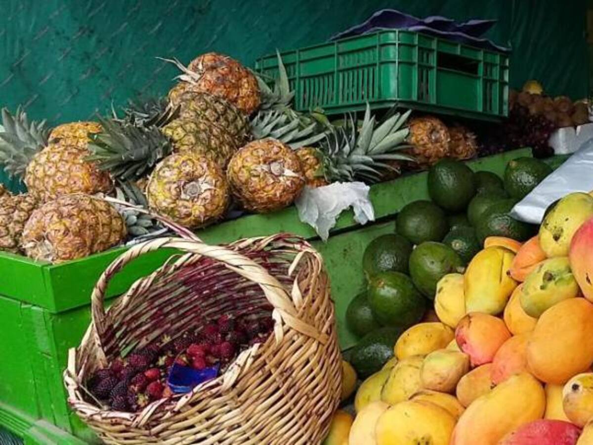 El frijol verde y la arracacha están escasos en Armenia debido al clima