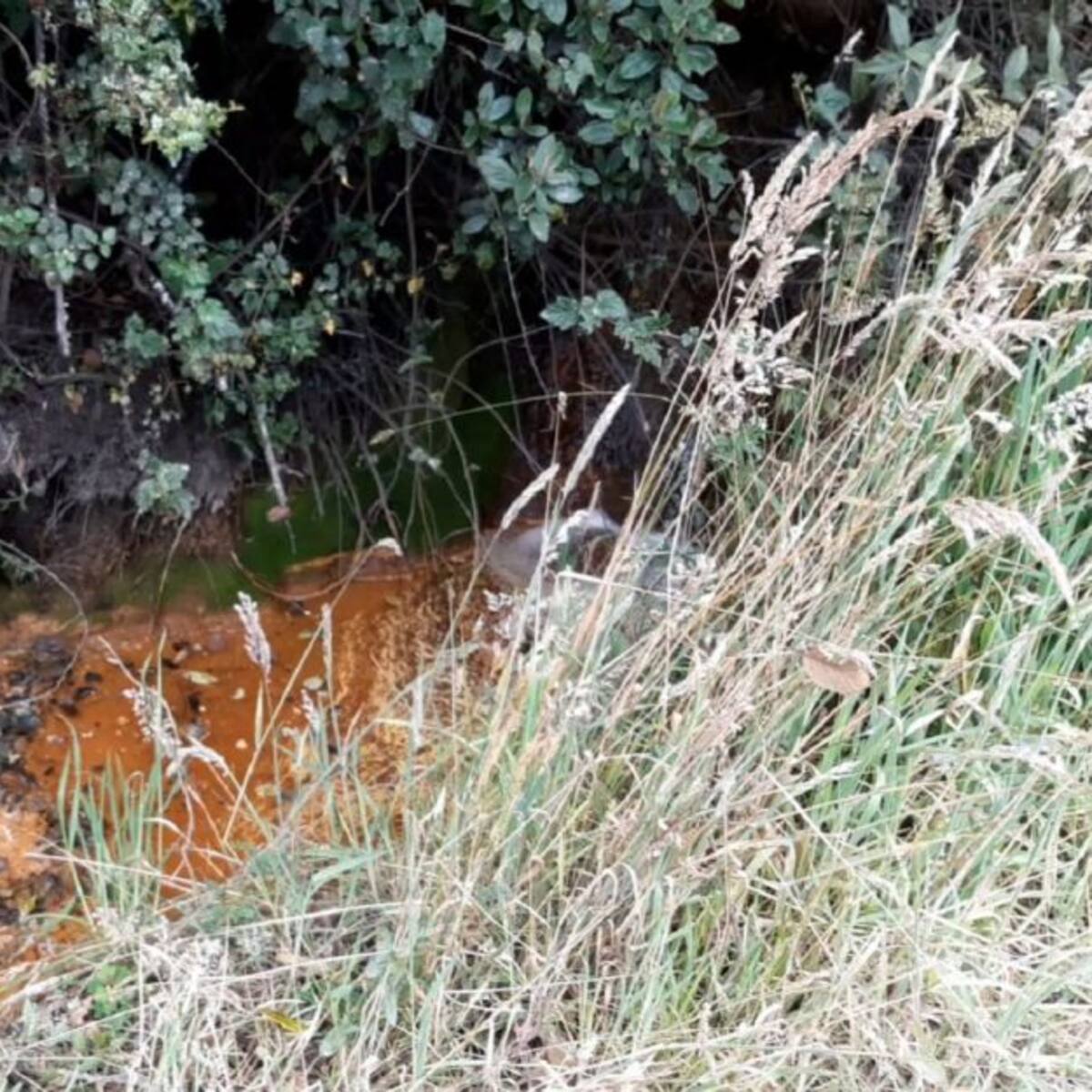 Así va la delimitación del Páramo de Pisba: Daños ambientales