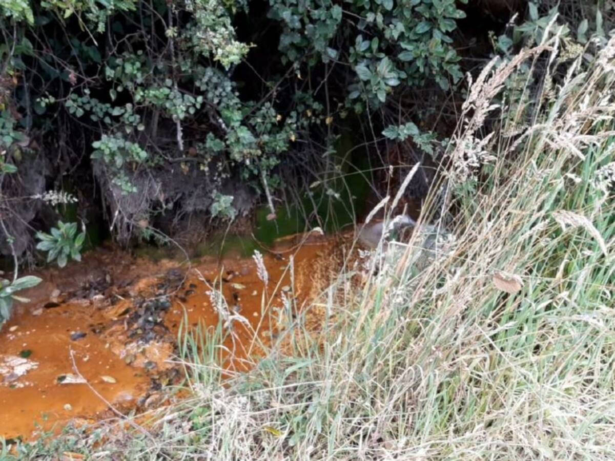 Así va la delimitación del Páramo de Pisba: Daños ambientales