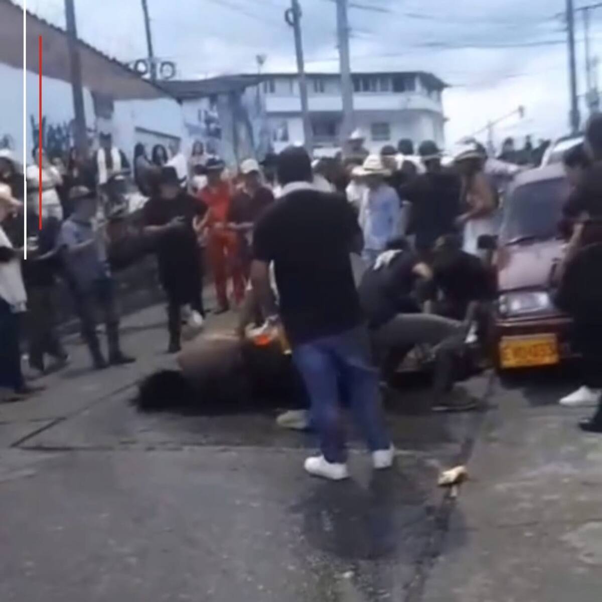 Polémica e indignación en el Quindío por el desplome de un caballo en medio de una cabalgata