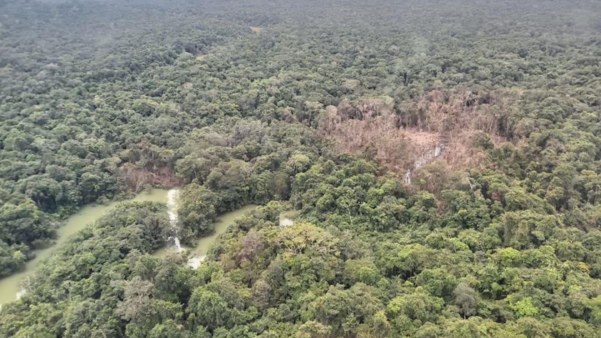 Defensora criticó al presidente De La Espriella por caminar orgulloso entre muertos tras bombardeos
