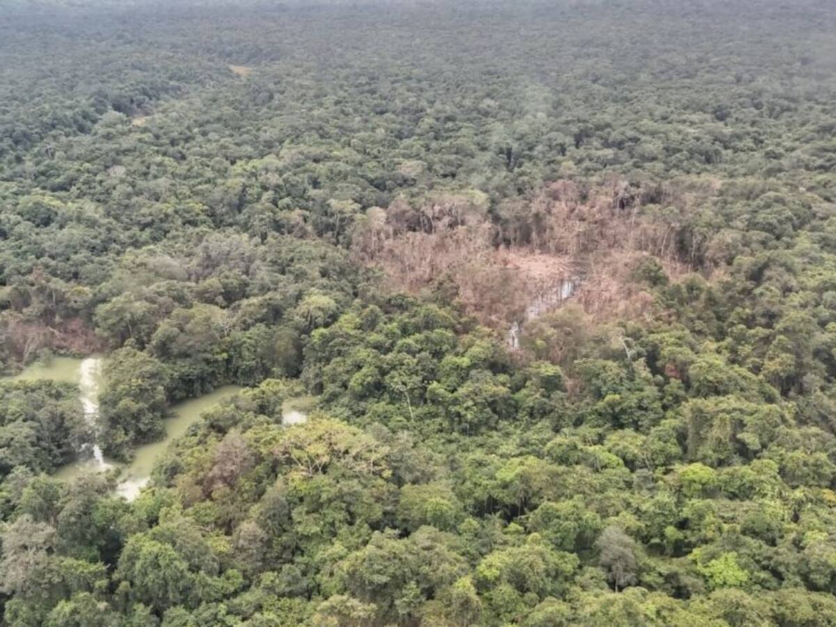 Menor de 16 años falleció en bombardeo de Guaviare: Medicina Legal