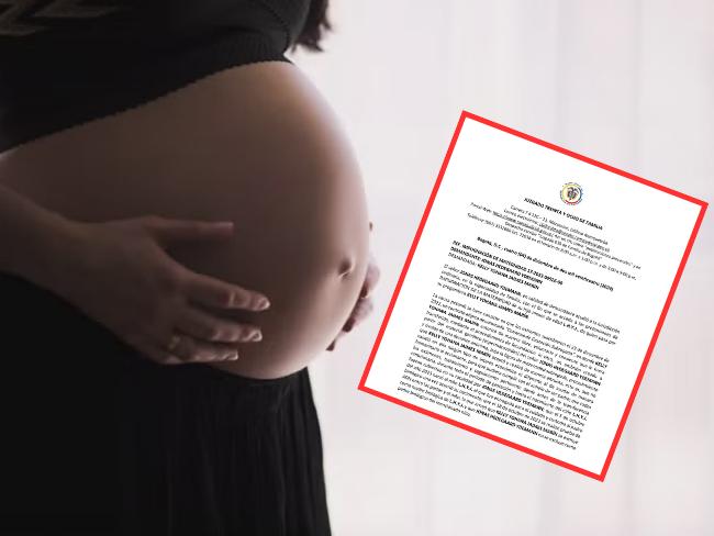 Fallo histórico: jueza reconoció a mujer que alquiló su vientre como madre biológica