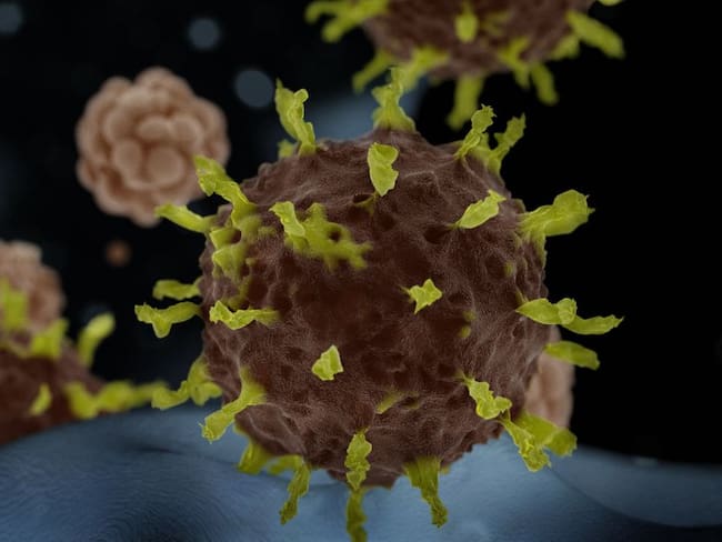 El coronavirus no es un monstruo: Asociación de Sociedades Científicas