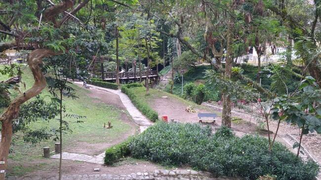 Centenario Ibagué