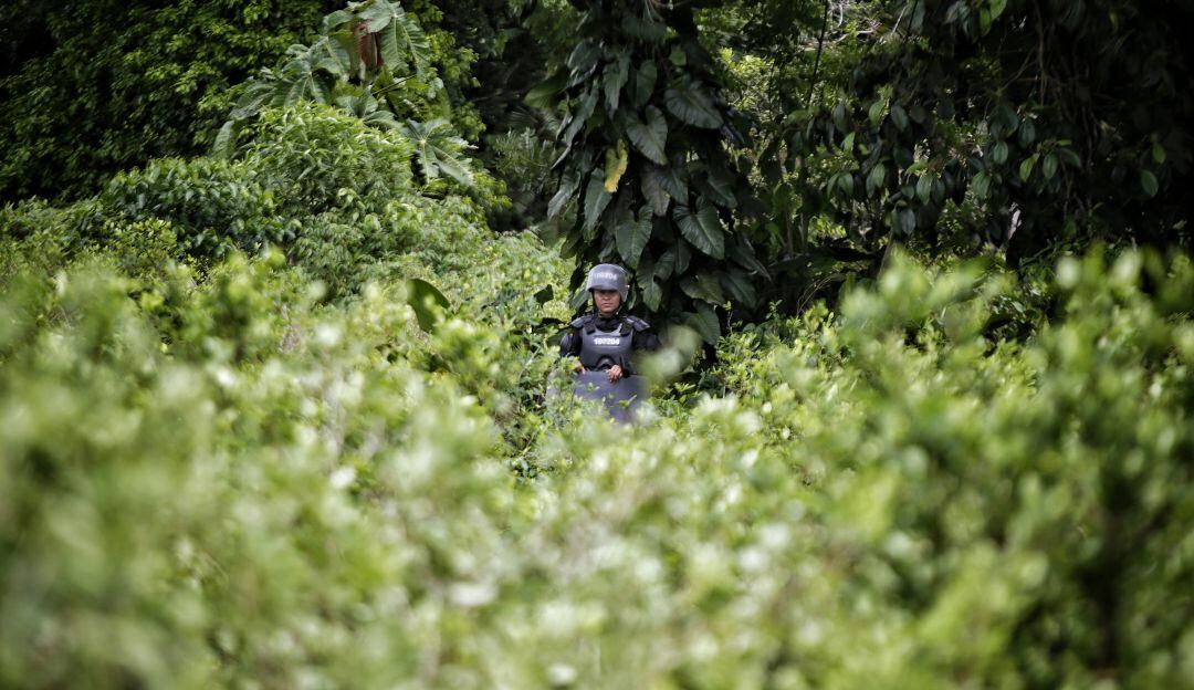 El proyecto será radicado nuevamente ante el Congreso