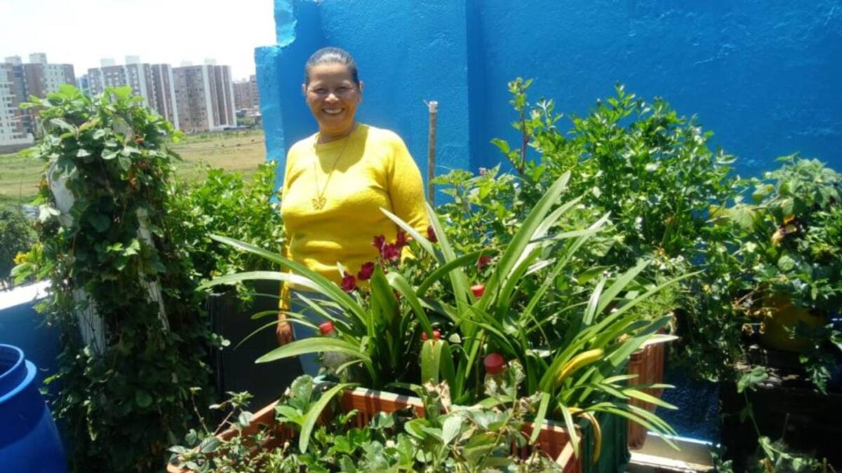 Cultive en casa alimentos más sanos para su familia