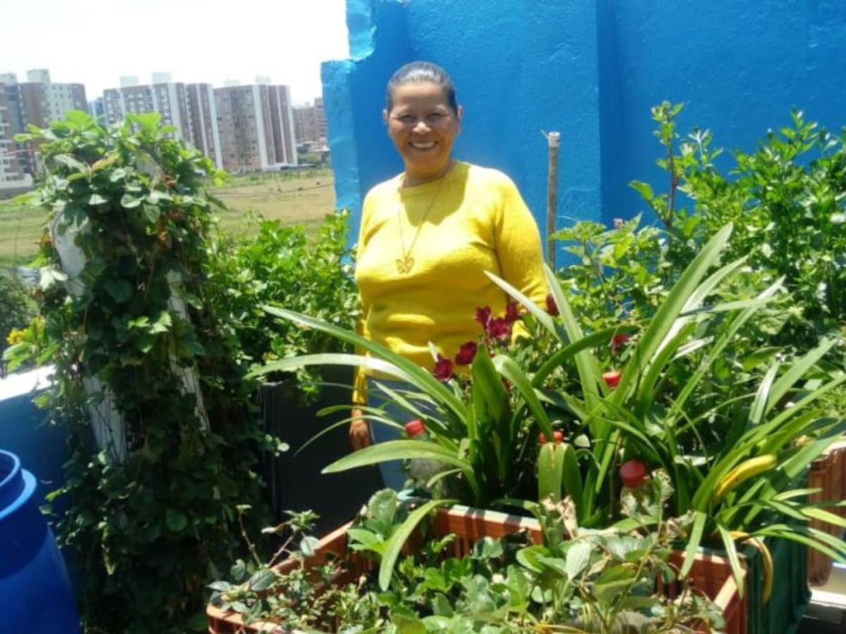 Cultive en casa alimentos más sanos para su familia