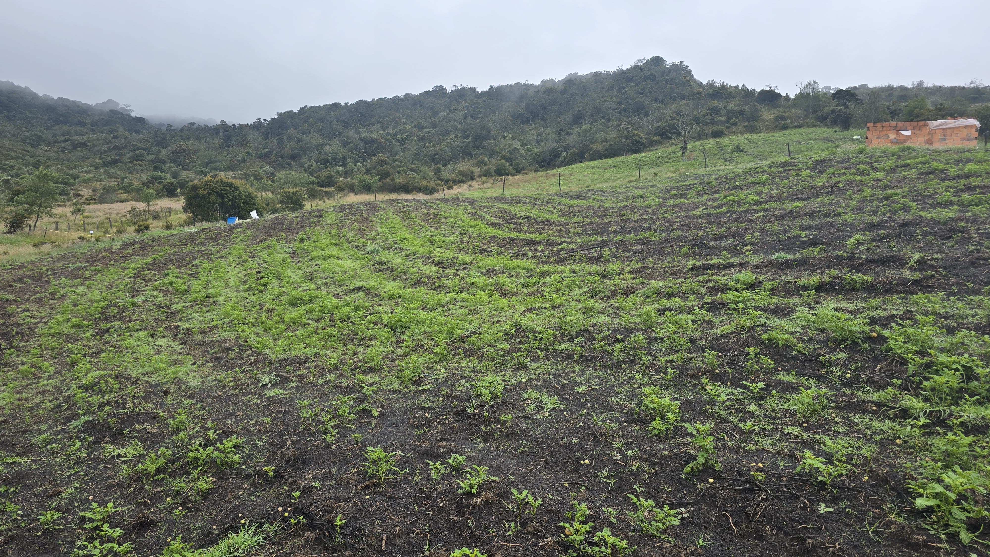 La CAR advirtió sobre un preocupante deterioro ambiental en zonas de páramo en los municipios de Saboyá y Ráquira