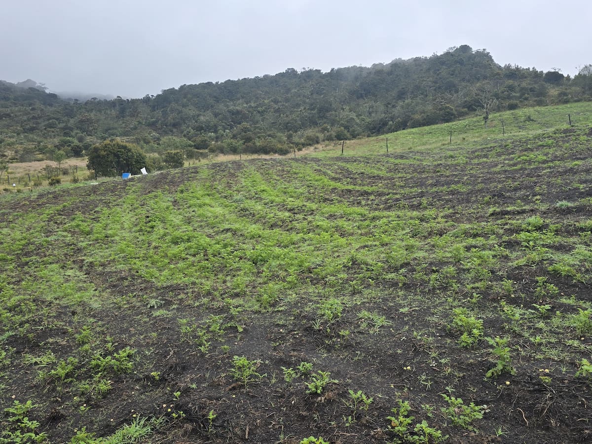 CAR alerta sobre graves afectaciones en páramos de Saboyá y Ráquira