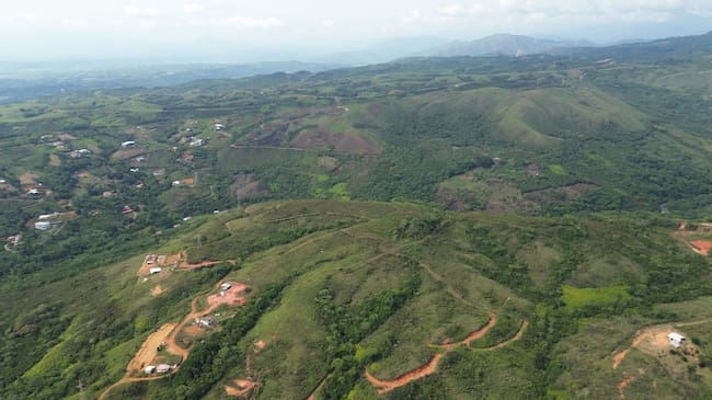 Ocupaciones ilegales están generando daños en zonas de alto valor ambiental.