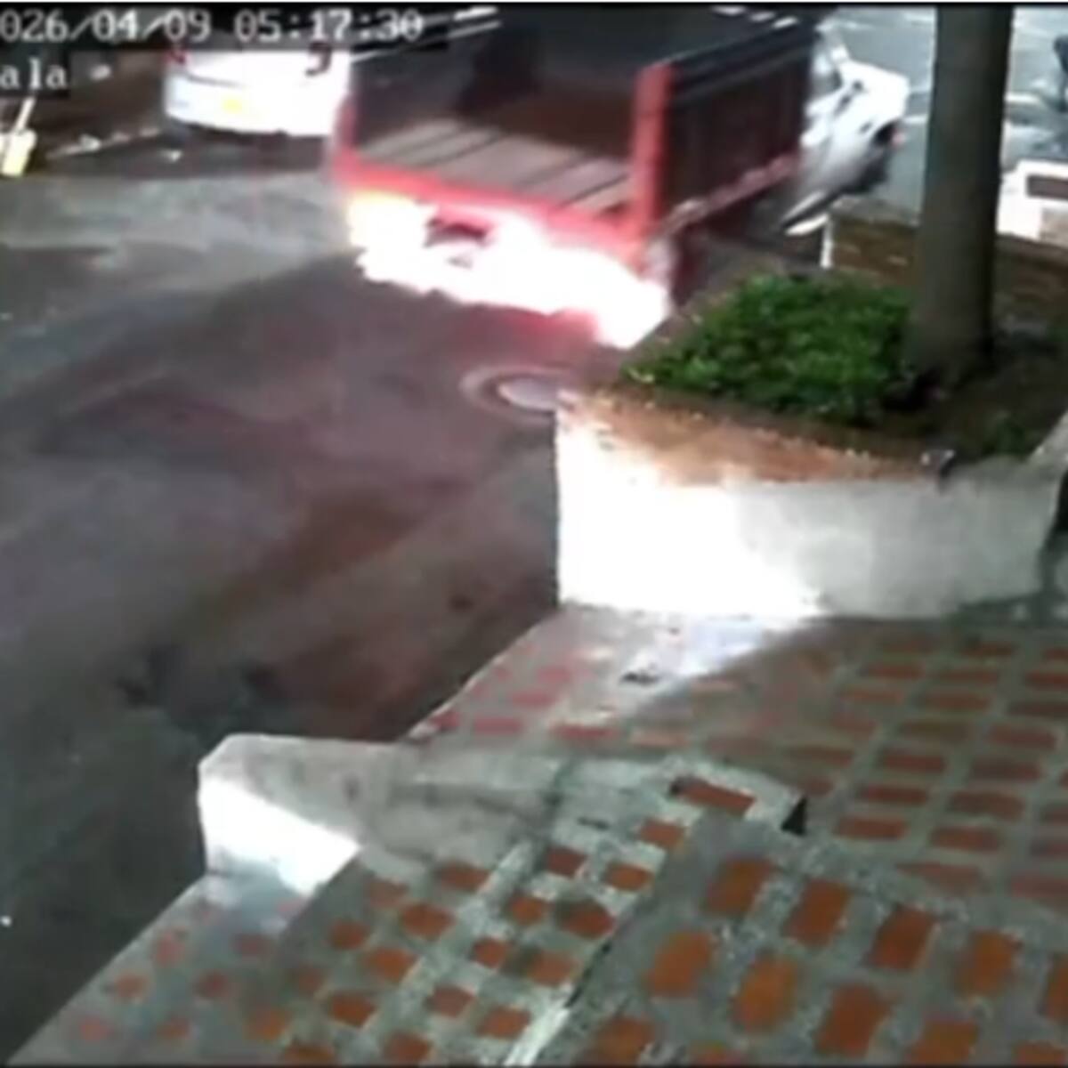 Un conductor huyó luego de atropellar a una mujer y su mascota, quienes murieron; luego fue detenido