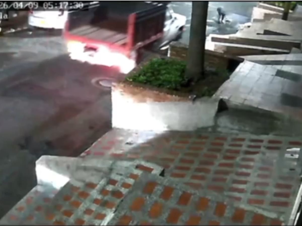 Un conductor huyó luego de atropellar a una mujer y su mascota, quienes murieron; luego fue detenido