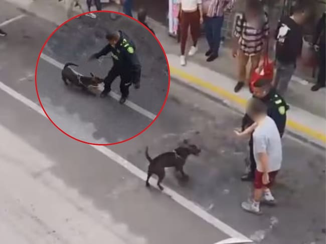 Foto: cortesía.