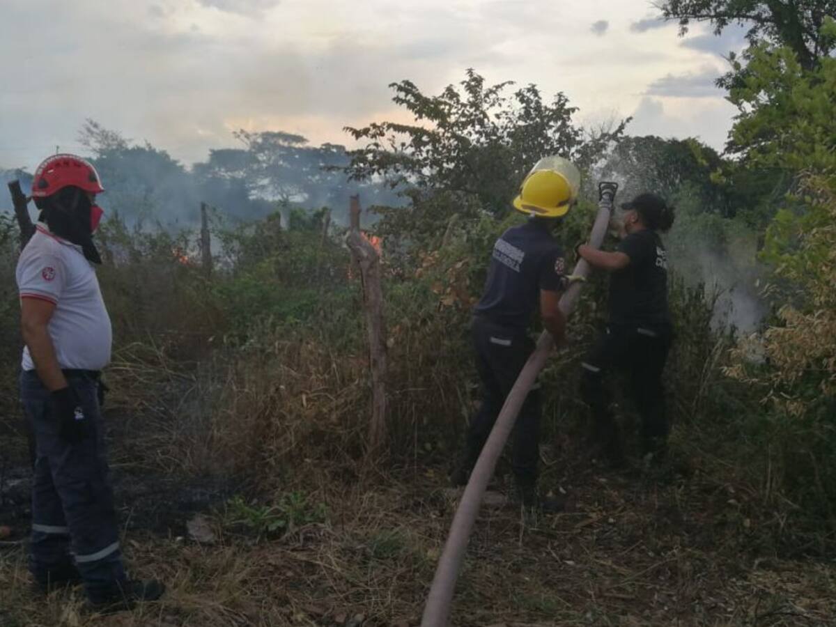 Los bomberos de Urumita en La Guajira, protegen los recursos naturales