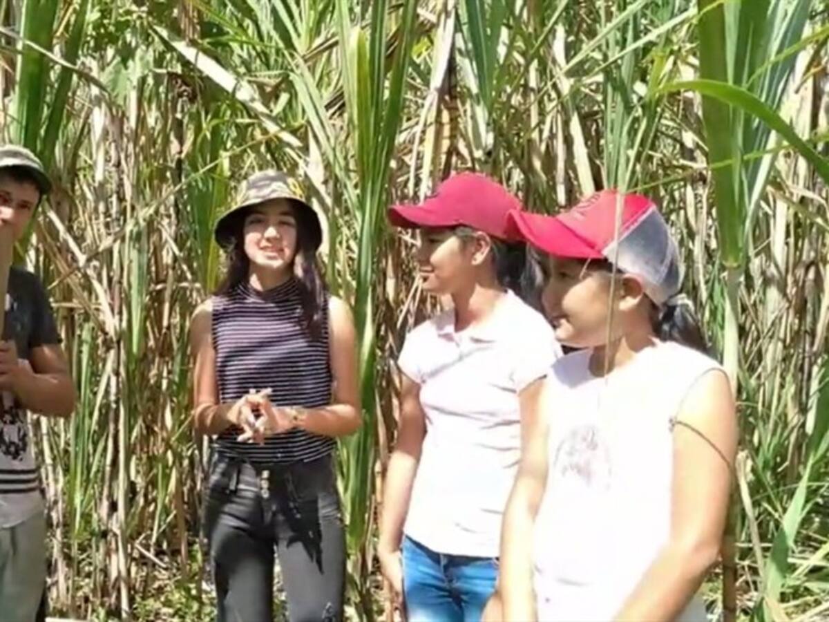 'Mi mundo en el campo', el canal de Youtube que lleva la vida rural a las redes sociales