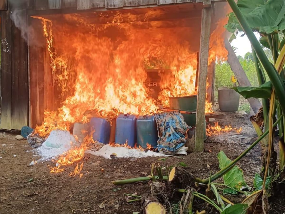 Fueron destruidos 13 laboratorios para la producción de pasta de coca en el Putumayo