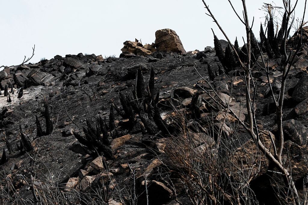 Incendio España. (Photo By Marian Leon/Europa Press via Getty Images)