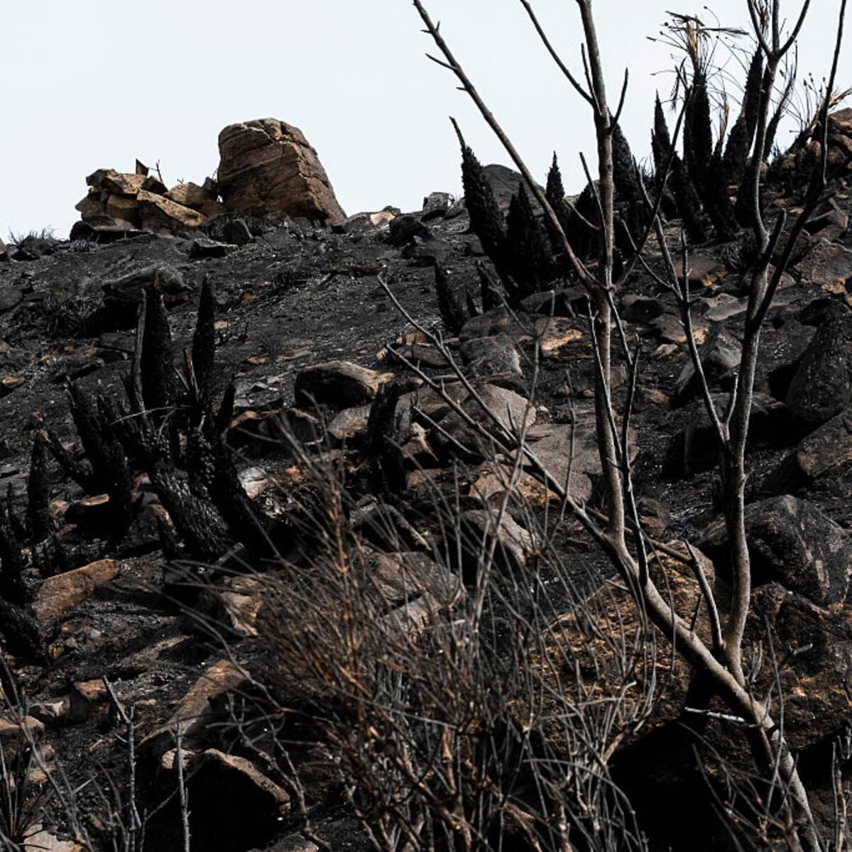 Incendio en el noreste de España calcina más de 12.000 hectáreas