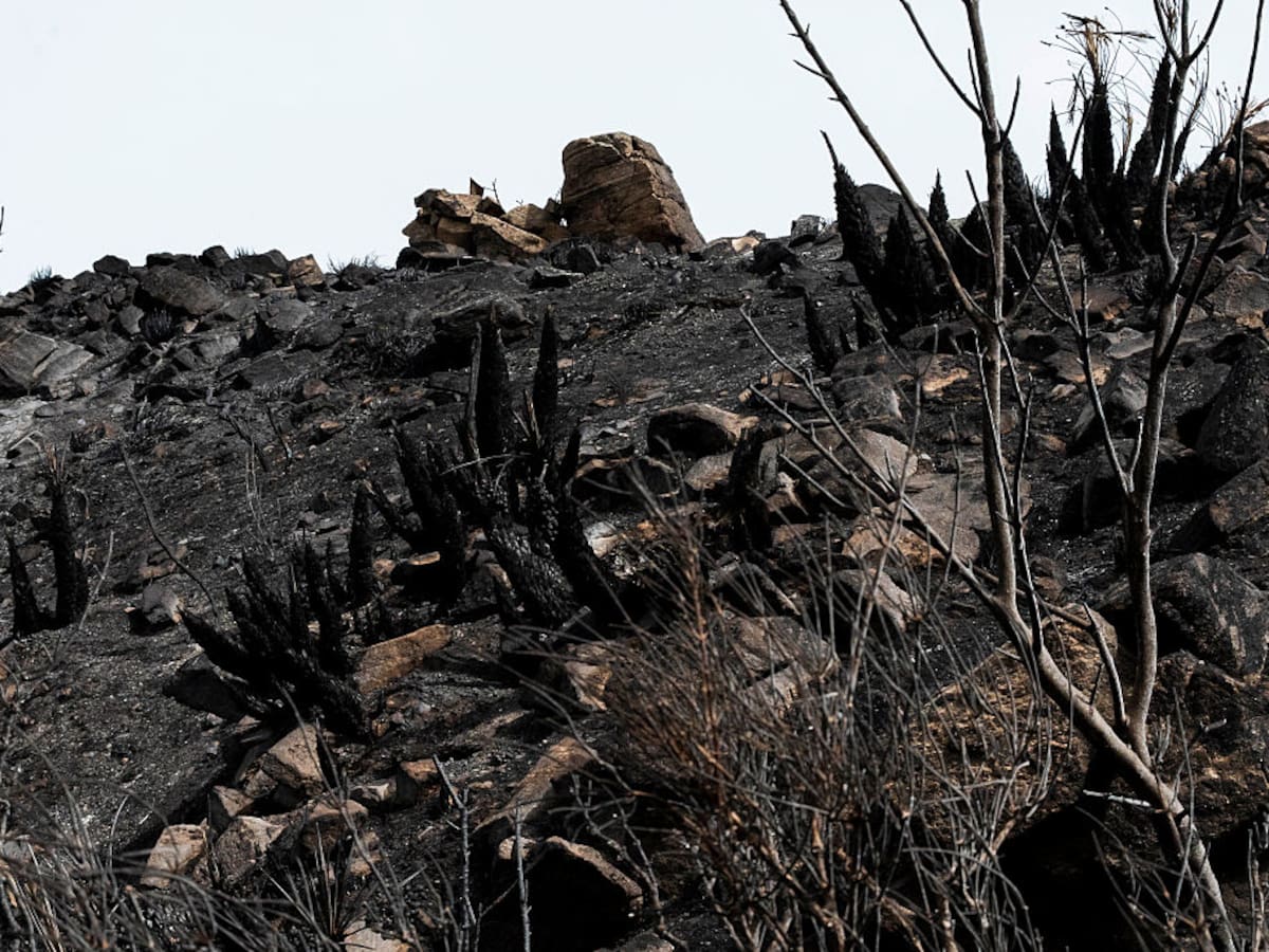Incendio en el noreste de España calcina más de 12.000 hectáreas