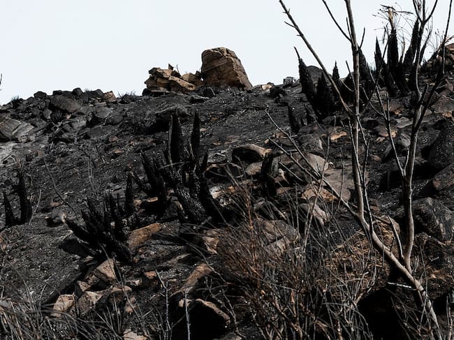 Incendio España. (Photo By Marian Leon/Europa Press via Getty Images)