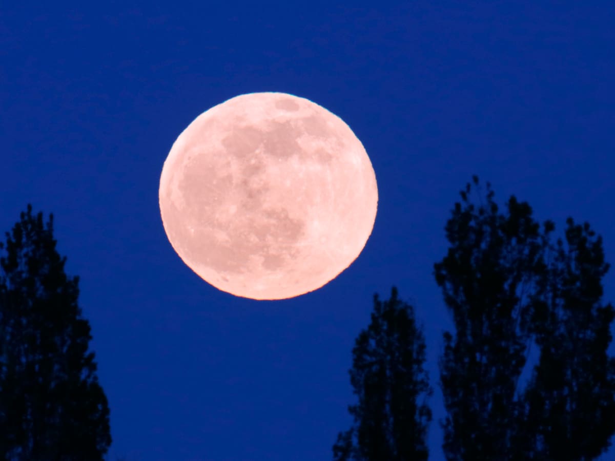 Luna Llena de Mayo 2024: ¿Qué significa la Luna de las Flores y cuándo se verá?