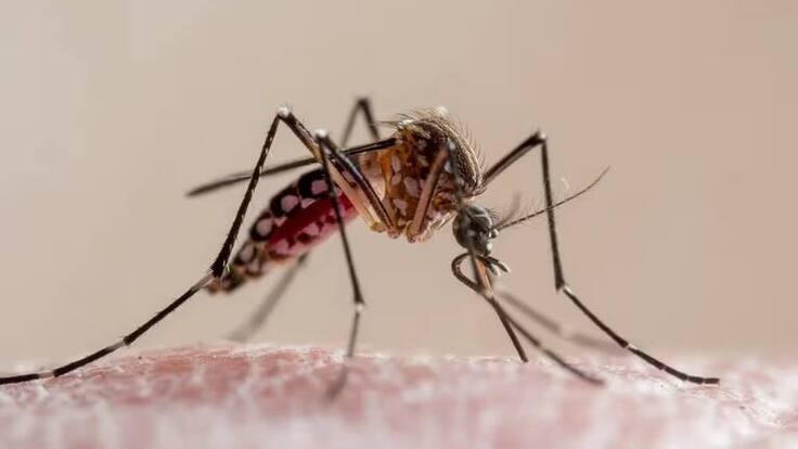 Secretario de Salud de Armenia, César Augusto Rincón