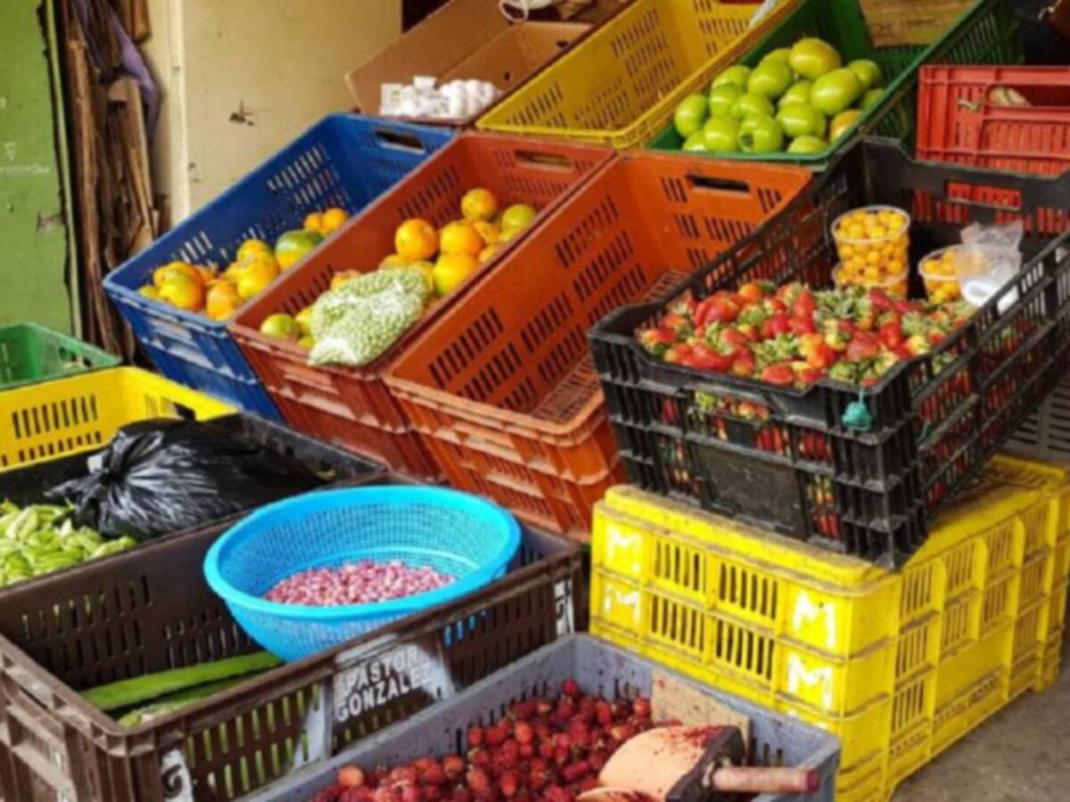 Precio de productos agrícolas se han nivelado en Caldas