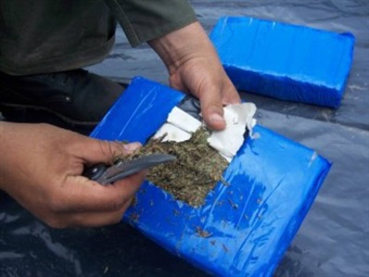 Incautan cerca de 100 kilos de marihuana en Quindío