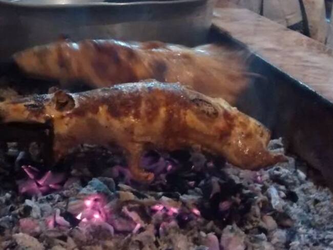 El cuy de Nariño