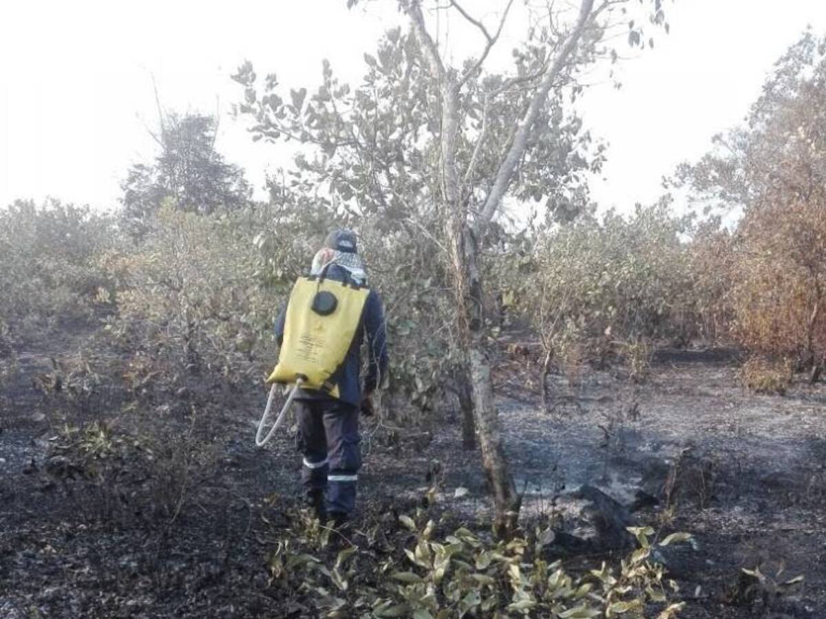 Chinú invita a la población a no realizar quemas agrícolas