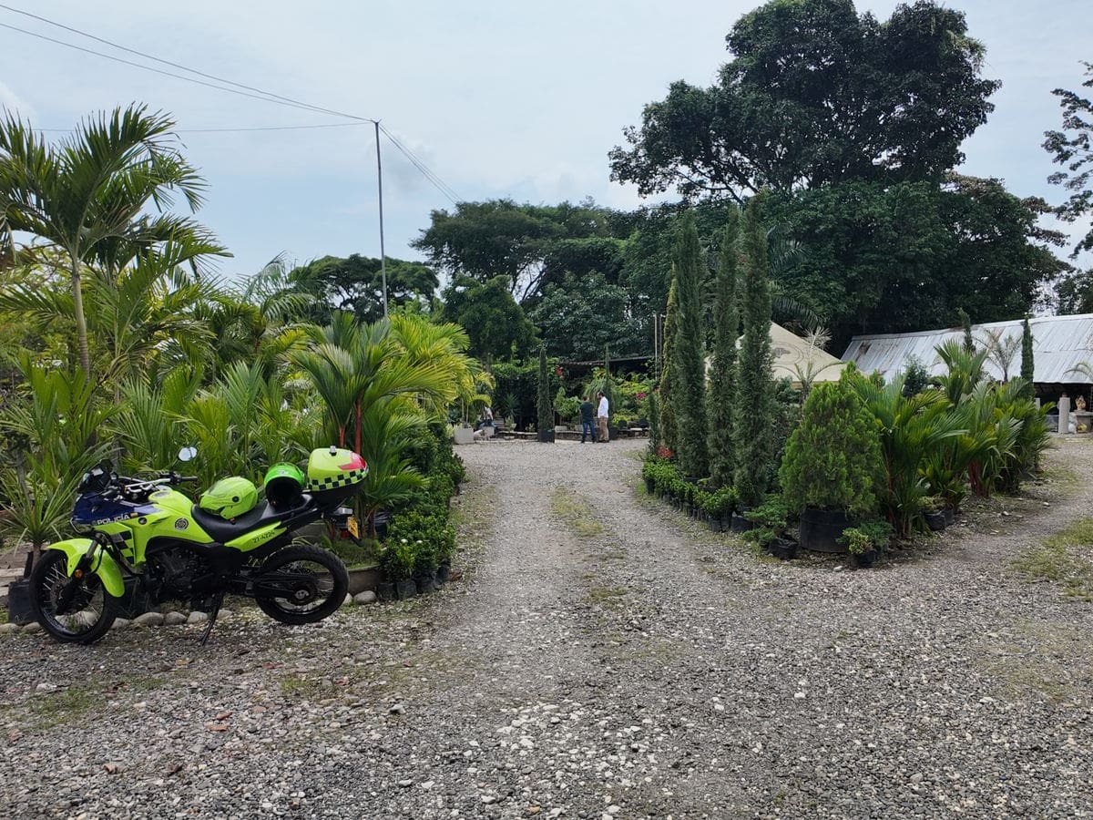 Recuperan en Cali, predio de exnarco donde funcionaba un vivero