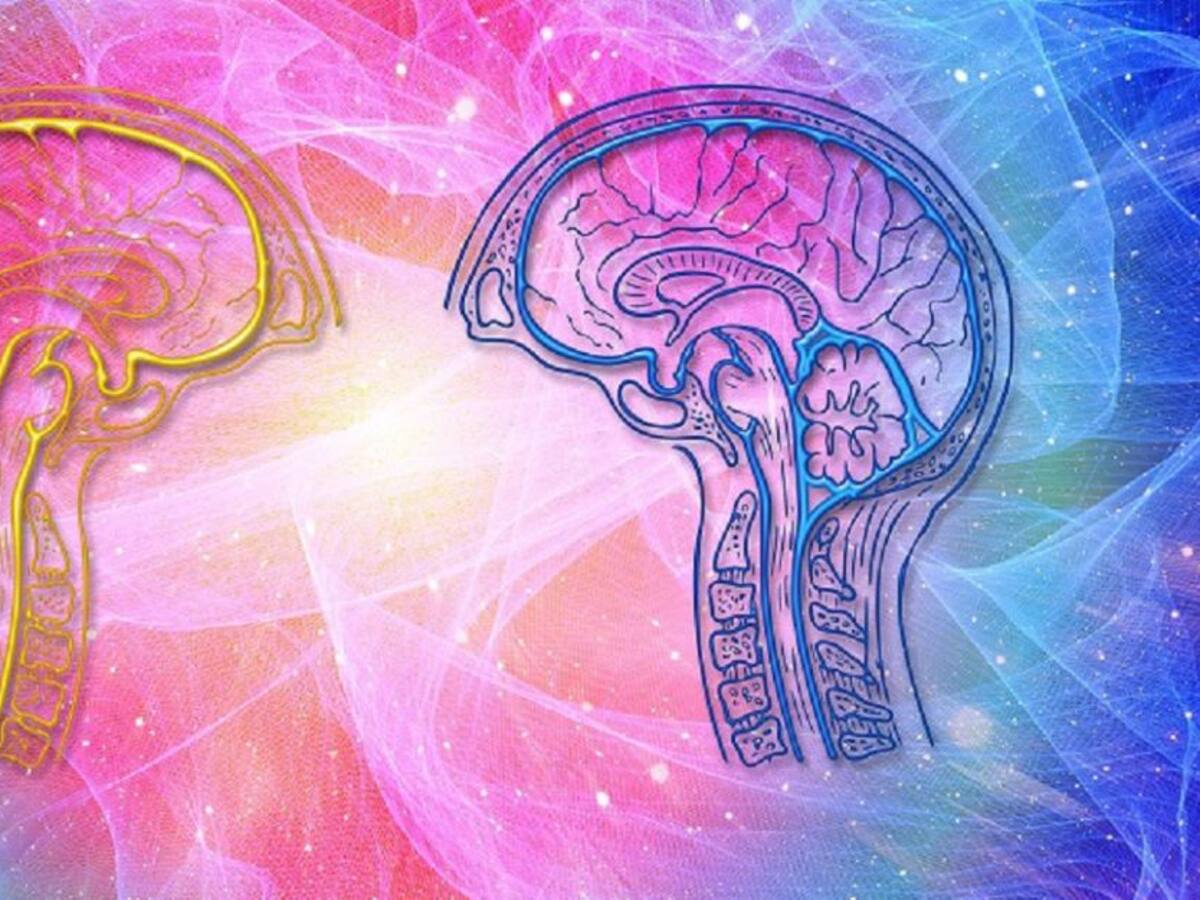 La importancia de la consciencia