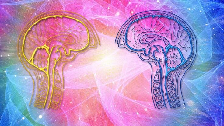 Mente, emociones y cuerpo.