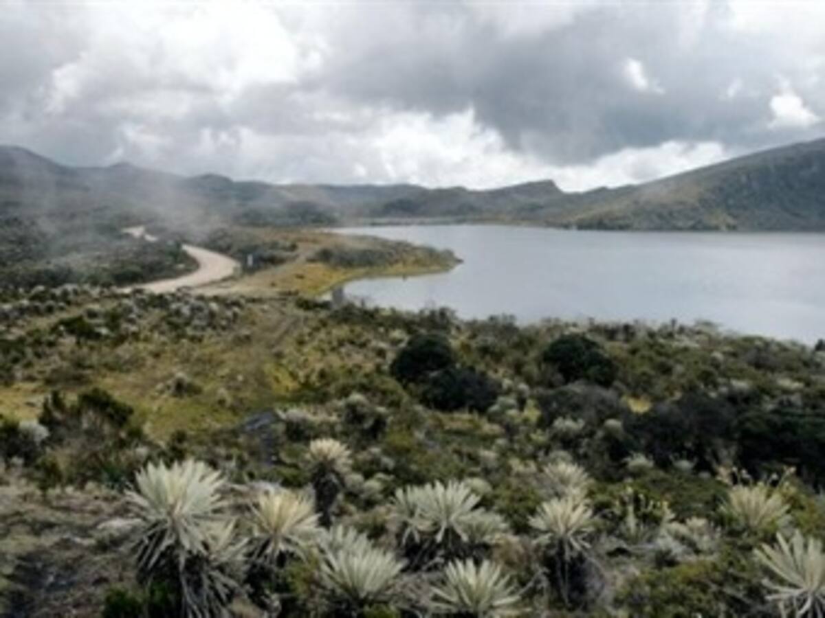 Alcaldes de páramo de Santurbán se resisten a delimitación de Minambiente