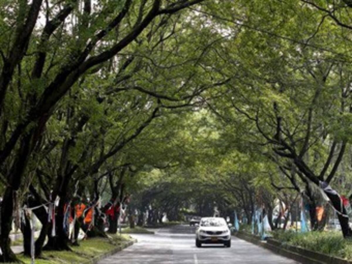 Aplauden decisión del Consejo de Estado sobre túnel verde de Envigado