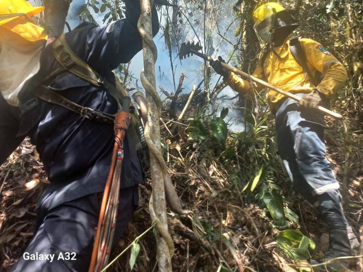 Controlan incendios forestales en el Valle: uno amenazaba el páramo de Las Hermosas