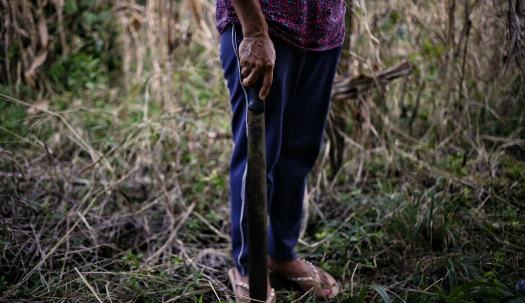 Imagen de referencia